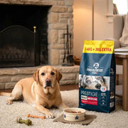 Pienso para perros adultos | Saco de 17 kg